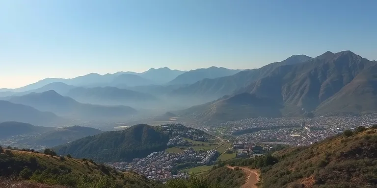 Gelibolu Zeytinyagi