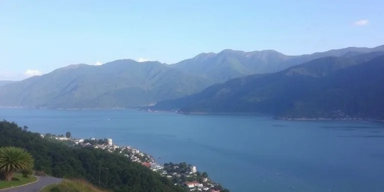 Karadeniz Kara Lahanasi